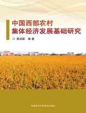 中国西部农村集体经济发展基础研究
