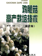 鸡腿菇高产栽培技术