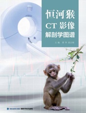 恒河猴CT影像解剖学图谱