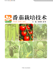 番茄栽培技术