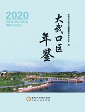 大武口区年鉴（2020）