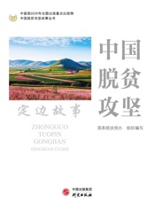 中国脱贫攻坚.定边故事