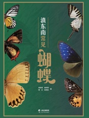 滇东南常见蝴蝶
