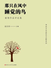 那只在风中睡觉的鸟：南翔作品评论集