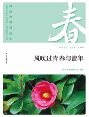 风吹过青春与流年