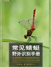 常见蜻蜓野外识别手册