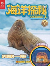 海洋探秘·梦幻精灵——海豚