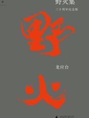 龙应台-野火集：三十周年纪念版