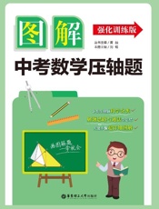 图解中考数学压轴题：强化训练版