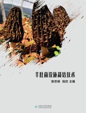 羊肚菌设施栽培技术