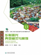 乡村振兴典型模式与案例