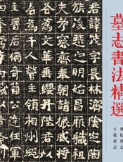 墓志书法精选（第一一册）