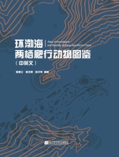 环渤海两栖爬行动物图鉴（中英文）