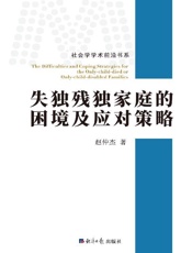 失独残独家庭的困境及应对策略