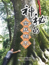 神秘的金丝楠木