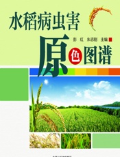 水稻病虫害原色图谱 - 彭红，朱志刚
