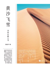黄沙飞雪：河西走廊之书