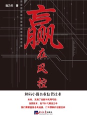 赢在风控