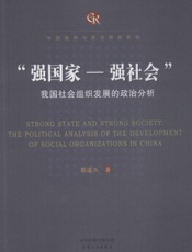 “强国家—强社会”：我国社会组织发展的政治分析