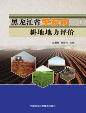 黑龙江省肇东市耕地地力评价