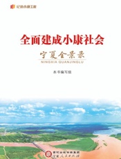 全面建成小康社会宁夏全景录