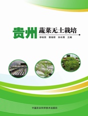 贵州蔬菜无土栽培