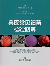 兽医常见细菌检验图解