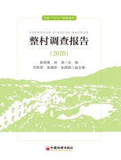 整村调查报告（2020）
