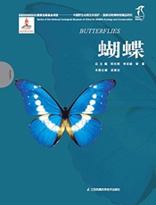 国家动物博物馆精品研究——蝴蝶