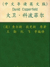 大卫科波菲尔