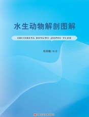 水生动物解剖图解