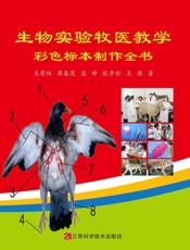 生物实验牧医教学彩色标本制作全书