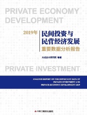 2019年民间投资与民营经济发展重要数据分析报告