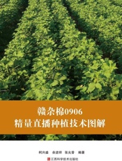 赣杂棉0906精量直播种植技术图解