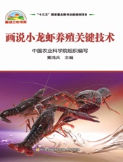 画说小龙虾养殖关键技术