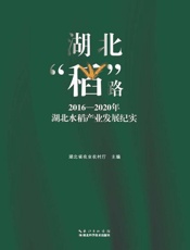 湖北“稻”路：2016—2020年湖北水稻产业发展纪实
