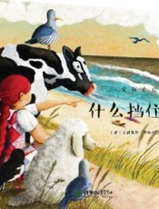 什么挡住了潮水