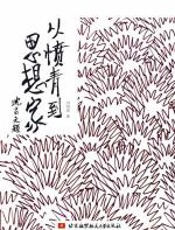 从愤青到思想家 - 刘明清
