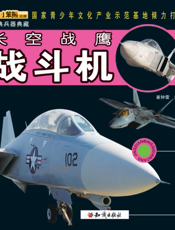长空战鹰——战斗机