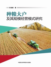 种粮大户及其规模经营模式研究