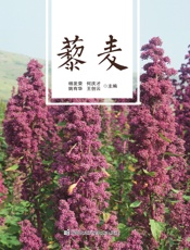 藜麦