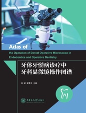 牙体牙髓病诊疗中牙科显微镜操作图谱