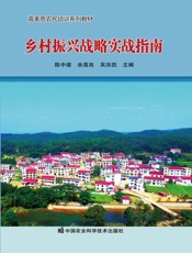 乡村振兴战略实战指南