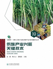 佤族产业兴旺关键技术