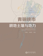 青铜峡市耕地土壤与地力