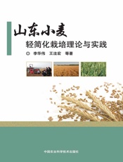 山东小麦轻简化栽培理论与实践