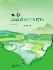 云南高原农业的大逻辑