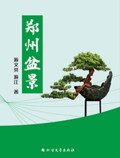郑州盆景