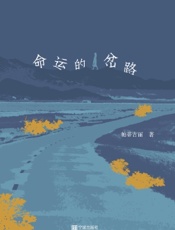 命运的岔路