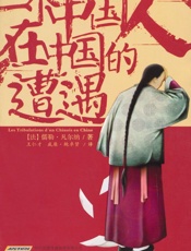 一个中国人在中国的遭遇